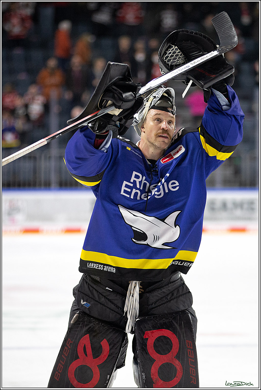 PENNY DEL; Koelner Haie- Fishtown Pinguins Bremerhaven; Koeln, 25.11.2021